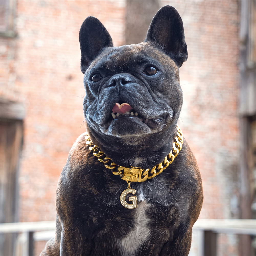 Chien souffrant de la chaleur